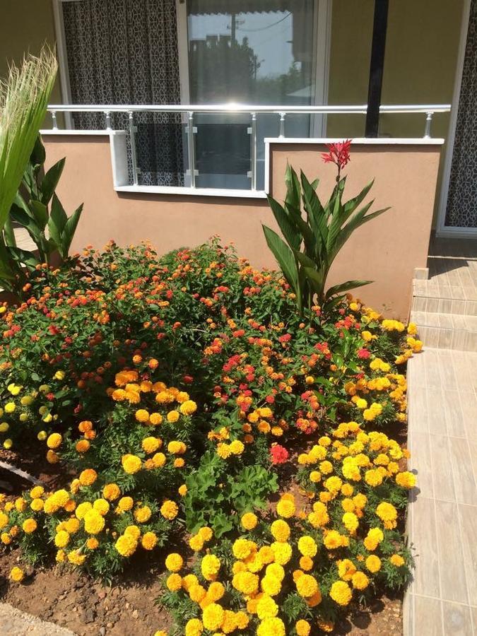 Esmeralda Apart Butik Otel Kizilot Ngoại thất bức ảnh